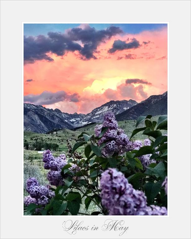 Pine Creek Cabin Livingston Montana Main image 2